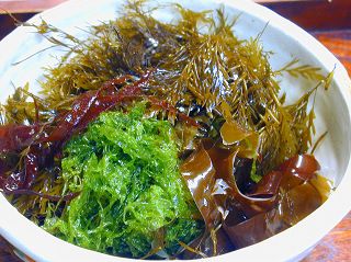 日本海藻的健康功效 图